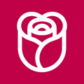 Logo rosa24.pl
